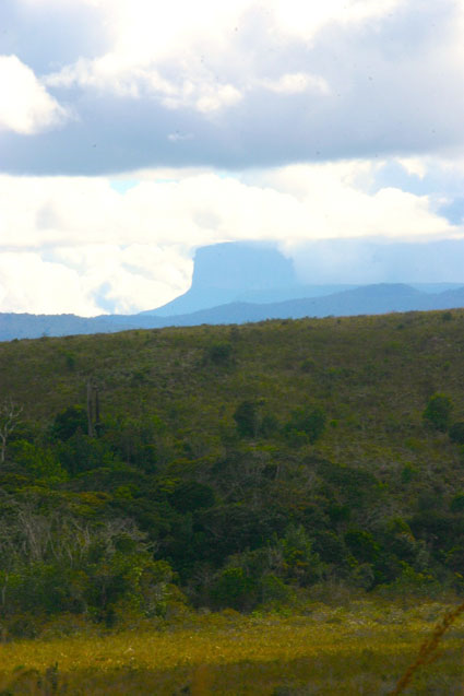 Guyana in South America still has most of its forests and, with the areas of adjacent Venezuela (seen here) and northern Brazil constituting one of the largest remaining blocks of tropical forest. Photo by Stuart L. Pimm