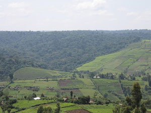 The third phase of evictions set to begin next month targets recovery of 146,000 hectare Maasai Mau forest where most settlers have either title deeds or land sale agreements. Kenya Broadcasting Corporation