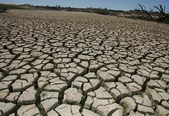 Cracking up: Lake Eppalock is meant to provide irrigation to Bendigo. Picture: Wayne Ludbey  Source: Herald Sun 