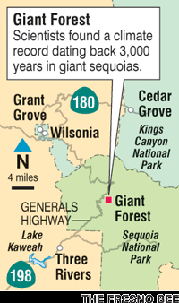 Scientists found a climate record dating back to 3,000 years in giant sequoias. The Fresno Bee