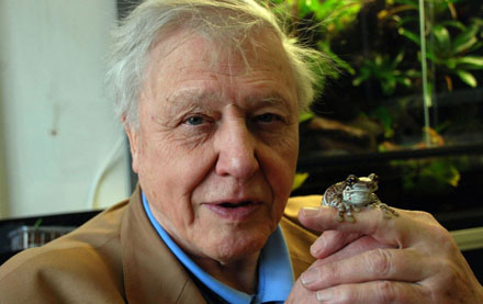 Sir David Attenborough warns of ecological disaster in the foreword to 'Silent Summer'. Photo: PA via telegraph.co.uk