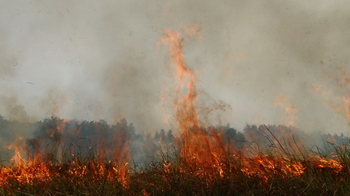 Fires rage at Tram Chim National Park in Dong Thap Province, Vietnam on 27 April 2010. (Photo: Tuoi Tre)