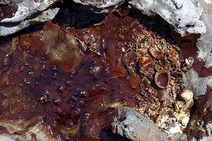 Oil from the Deepwater Horizon wellhead washes up on the beach of Elmer's Island, a wildlife refuge, owned and maintained by the state of Louisiana, 22 May 2010. Daniel Beltra-Greenpeace via Reuters