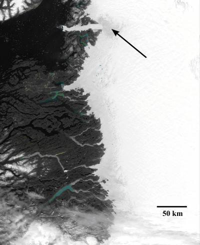 This is a satellite image of Western Greenland, acquired by NASA's MODIS satellite. The narrow grey band in the center of the image is melting ice, between the rocky coast to the left (west) and thicker, non-melting, higher altitude ice to the right (east). Small lakes form in this region during the summer. Arrow points to darker grey zone of rapidly thinning ice near the outlet of Jacobshavn glacier, which also loses mass due to iceberg calving. (Credit: Courtesy of NASA)