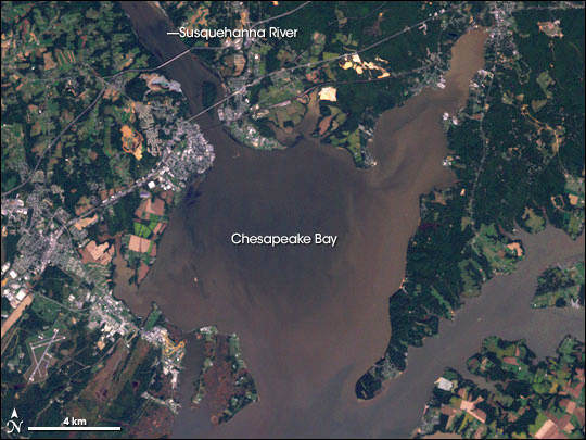 This satellite image shows brown water flowing into Chesapeake Bay from the Susquehanna River. The Susquehanna, which enters Chesapeake Bay at its northern end, carries 40 percent of the nitrogen that flows into the Bay - the largest single source. There is so much nitrogen in the northern Bay that algae have all the 'fertilizer' they need, and changes in streamflow do little or nothing to affect the growth of algal blooms. (NASA / Robert Simmon / Landsat-7 / UMD Global Land Cover Facility)