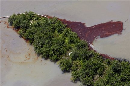 A bird flies over the oil that has collected on wetlands on Elmer's Island in Grand Isle, Louisiana, Thursday 20 May 2010. The oil came inland despite oil booms that were placed at the wetlands' mouth on the Gulf of Mexico. Oil from last month's Deepwater Horizon oil rig explosion in the Gulf has started drifting ashore along the Louisiana coast. (AP Photo / Patrick Semansky)