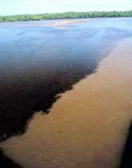 The Gulf of Mexico dead zone near the mouth of the Mississippi River (Photo courtesy NOAA) 