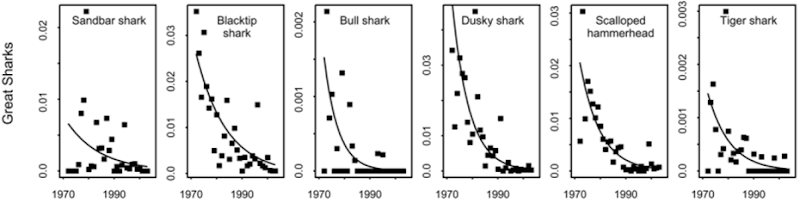 N. Carolina Great Shark Abundance, 1972-2007. Ransom A. Myers, Julia K. Baum, Travis D. Shepherd, Sean P. Powers, Charles H. Peterson