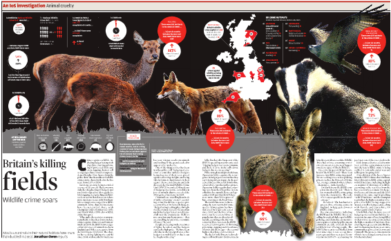 Britain's killing fields: wildlife crime soars