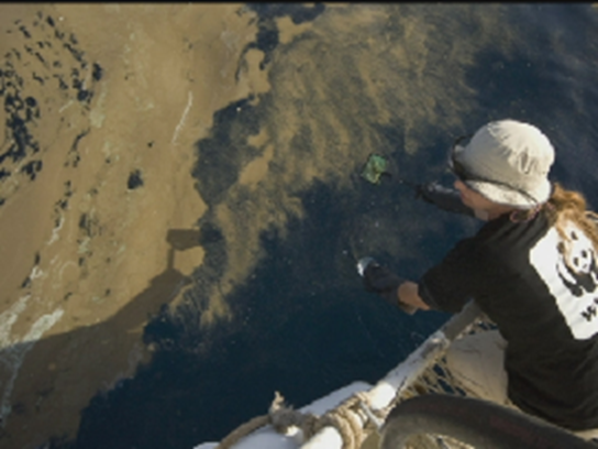 WWF crew samples the oil spill.