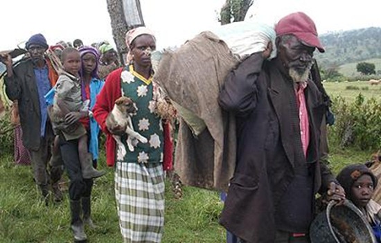 The great trek: Armed with all their earthly belongings of sufurias, chickens, dogs and assorted furniture, illegal Mau Forest settlers begin to troop out a day after a government's quit notice expired. The controversial eviction of settlers out of the largest water catchment area in Kenya is to pave the way for its Sh38 billion rehabilitation. The eviction is hot politcal flashpoint which has split ODM right in the centre. Photo: Joseph Kiheri 