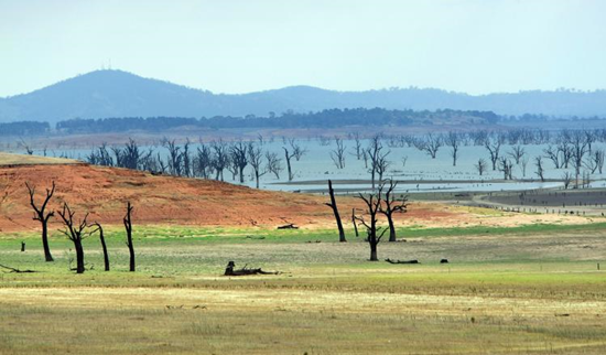 Lake Hume, straddling the Victorian/New South Wales border, exposes once submerged trees after the dramatic drop in water level caused by a decade of drought. Torsten Blackwood / AFP / Getty Images)