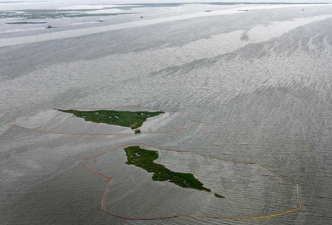 With a bird rookery in the foreground, oil streams into Barataria Bay, inundating the inside waters north of Grand Isle, La., even as oil continues to spew from the Deepwater Horizon spill into the Gulf of Mexico, Wednesday, June 2, 2010. PHOTO BY TED JACKSON / THE TIMES-PICAYUNE