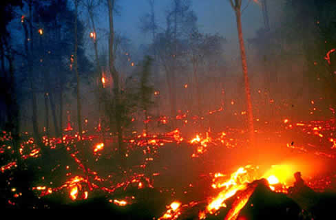 Peat fire in Indonesia &copy; F. Siegert. rssgmbh.de
