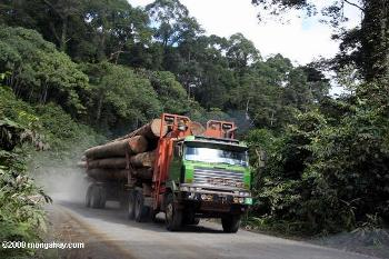 Truck carrying logs out of a Malaysian rainforest. Photo by: Rhett A. Butler. 
