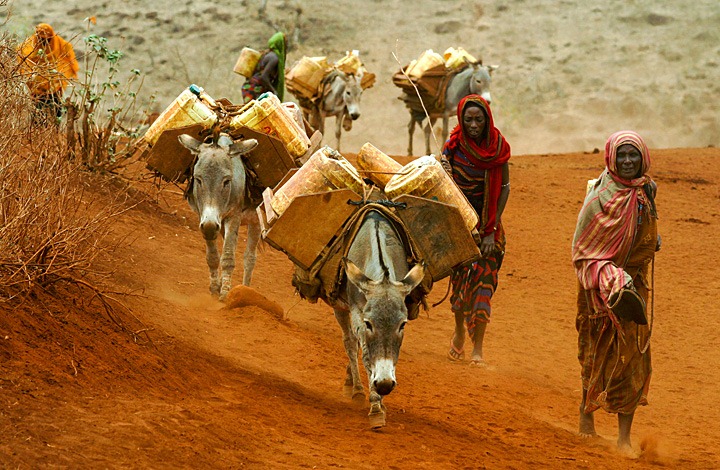 Women in Gabbra, Northern Kenya. Benno Neeleman