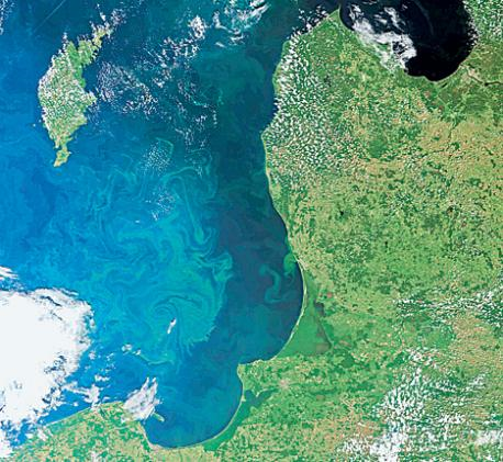 A satellite view of the Baltic, showing the carpet of blue-green algae that now covers an area the size of Germany. EPA