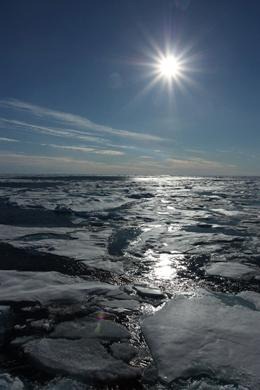 Parts of the Arctic Ocean have carbon dioxide concentrations approaching atmospheric levels. Zhongyong Gao / State Ocean Administration of China - Third Institute of Oceanography, Xiamen, China