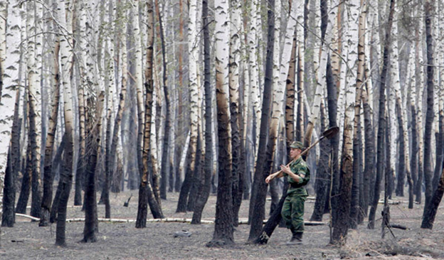 A soldier walks past fire-damaged birches in a forest on the outskirts of the Russian city of Voronezh. Photograph: Sergei Karpukhin / Reuters