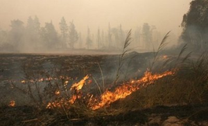 Grass burns in the village of Beloomut caught in a deep smoke. Firefighters fought an uphill battle against spreading forest fires that have already killed 30 people, destroyed thousands of homes and mobilised hundreds of thousands of emergency workers. AFP / Andrey Smirnov