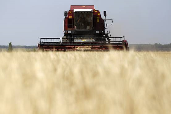 An employee operates a combine as he harvests barley at the 'Vorobyevskoye Agro' collective farm some 155 miles southeast of the city of Voronezh, Russia. Reuters