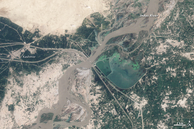 This image shows the region near Kashmor, Pakistan on August 9, 2009. As if constrained by a belt, the river is cinched near Khewali. The constraint is the Guddu Barrage, a barrier designed to channel irrigation water to farmland in the northern Sindh district. Canals extend away from the barrage on both sides of the river. NASA image by Robert Simmon, based on Landsat 5 data from USGS