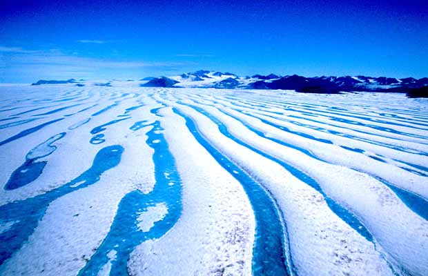 The unique ice shelves on the north coast of Ellesmere Island, such as the Ward Hunt Ice Shelf shown in this photo, have distinctive white ridges of ice and snow that are cut every few hundred metres with ribbons of turquoise melt water that collects in troughs on the ice’s surface. John England, HANDOUT PHOTO / University of Alberta