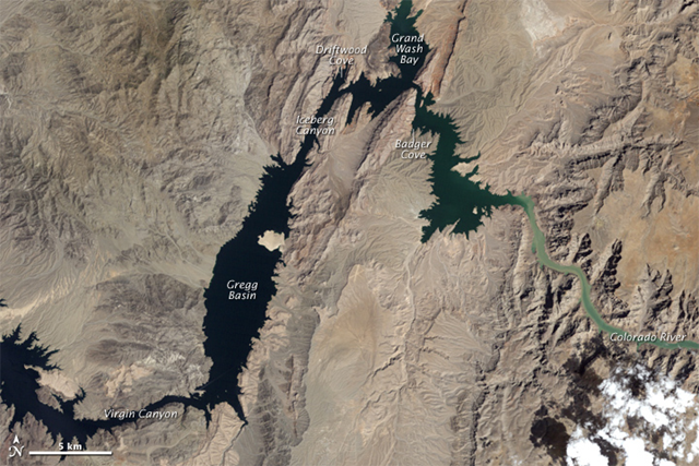 Lake Mead imaged by the Thematic Mapper on the Landsat 5 satellite, 22 August 1985. NASA Earth Observatory image created by Robert Simmon and Jesse Allen, using Landsat data provided by the United States Geological Survey