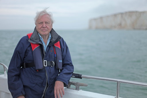 Sir David Attenborough in 'The Death of the Oceans?' BBC