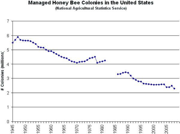 Managed Bee Colonies in the US, 1945-2008. The number of managed honey bee colonies in the US from 1945 to 2008 as reported by the USDA National Agricultural Statistics Service. The current level of approximately 2.5 million colonies is very low given that the US needs 1.5 million colonies in California each year to pollinate almonds. Three years of on average 30% colony losses in the US (2006–2008) threaten our ability to provide such pollination services to agriculture. Pettis and Delaplane, 2010