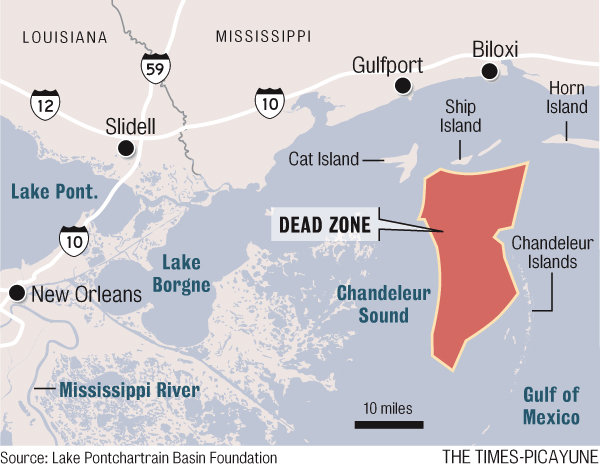 Chandeleur Sound dead zone, Ocotober 2010. The Times-Picayune  / nola.com
