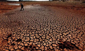 A parched reservoir in Green Pool Dame at Shilin County, Kunming City, Yunnan Province, 2 February 2010. Photo: AFP / Getty Images