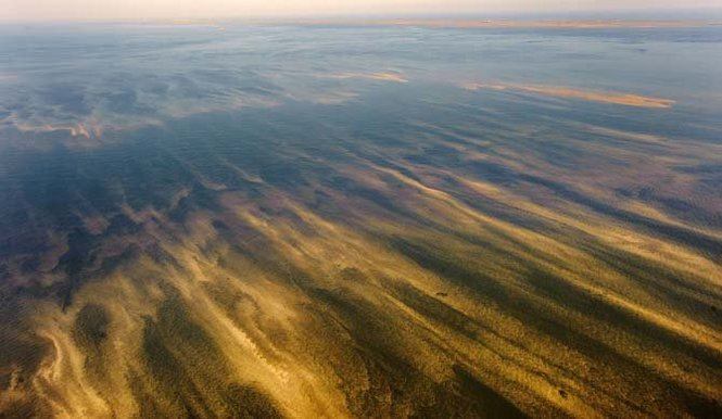 Oil or algae was spotted in West Bay just west of the Southwest Pass of the Mississippi River, seen at top left, by the Gulf of Mexico Friday October 22, 2010. MATTHEW HINTON / THE TIMES-PICAYUNE