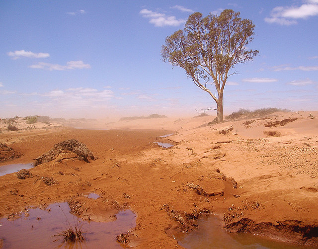 Drought and flooding rain in South Australia. This photo was taken on January 28, 2007 in South Australia, AU, using an Olympus u30D,S410D,u410D. Photo: Georgie Sharp / flickr.com