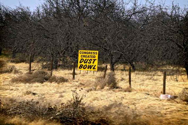 A sign in a withered almond orchard in California's Westland Water District of the Central Valley reads 'Congress created dust bowl,' on 2 October 2009. The lack of water in the states reservoirs, and prioritized irrigation water, is contributing to tens of thousands of acres of dried farm lands. Russel A. Daniels / AP