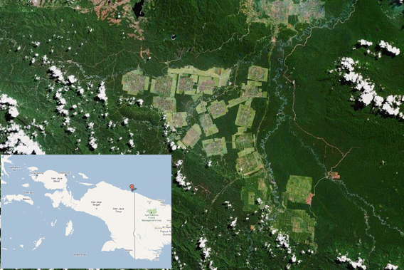 Plantations, cleared from rainforest, outside of Jayapura in Papua province. Images from Google Earth / Maps