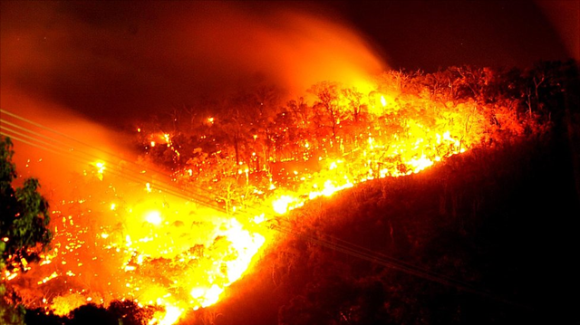 Bushfires raging on the outskirts of Perth in Western Australia have destroyed homes and forced the evacuation of hundreds of residents. Dave Hancock captured this image in the early hours of Monday, 7 February 2011. bbc.co.uk