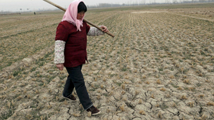 A farmer walks through a drought-stricken wheat field in China's Shandong province on Wednesday, 9 Feb 2011. Chinese officials say they expect the winter drought in several provinces to be severe. Fan Changguo / Xinhua / Associated Press