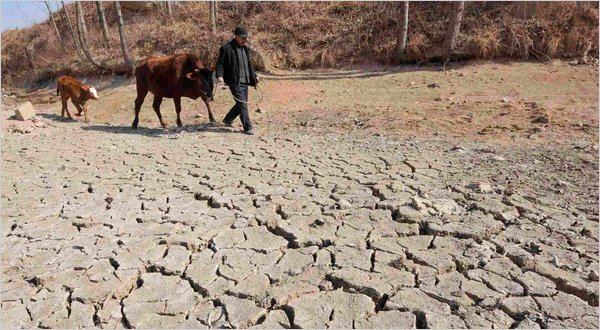 A Chinese farmer on dry farmland on the outskirts of Rizhao, Shandong Province, in January, 2011. Reuters