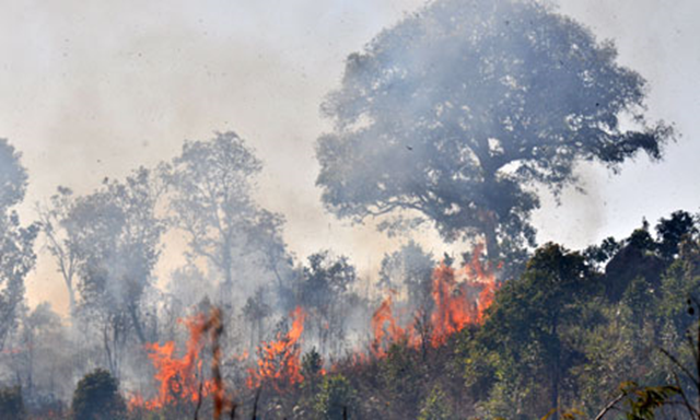 Wildfire is threatening one of the world's most advanced rainforest restoration projects in Bulang Mountain in Xishuangbanna, China, 28 February 2011. guardian.co.uk