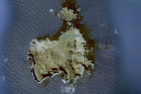 Nightingale Island as viewed from Google Earth. mongabay.com