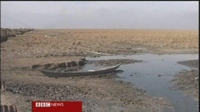 Drought threatens the marshes of southern Iraq. Jim Muir / BBC