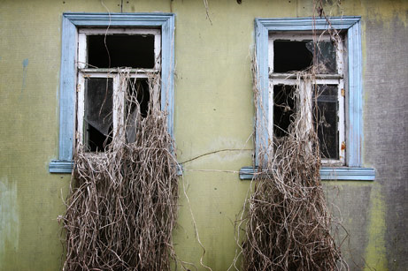 Wild vines creep through the windows of a deserted house near the shuttered Chernobyl Nuclear Power Plant. After a Chernobyl reactor exploded 25 years ago, Soviet authorities created an exclusion zone with a radius of 19 miles (30 kilometers). More than 130,000 people in 76 towns and settlements were forced to leave their homes. Photo: Damir Sagolj / REUTERS