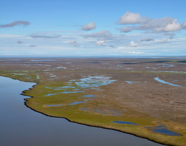 Aerial view of Canada's Arctic coastline. Vegetation killed by the 1999 storm surge contrasts sharply with that along the shoreline receiving regular freshwater. queensu.ca