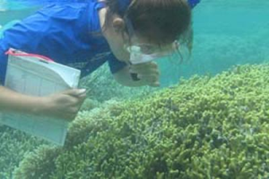 A graduate student examines coral off the coast of Guam for American University marine ecologist Kiho Kim's research. Nitrogen pollution in our coastal ecosystems, the result of widespread use of synthetic agricultural fertilizers and of human sewage, leads to decreased water transparency, the loss of desirable fish species, and the emergence of toxic phytoplankton species&mdash;such as the algae behind the renowned 'red tides' that kill fish. Kiho Kim / American University