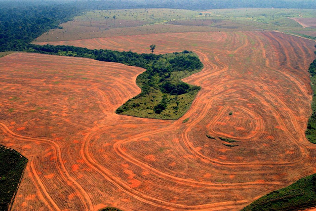 Aerial view of deforestation in the Brazilian Amazon. ALBERTO CESAR / GREENPEACE