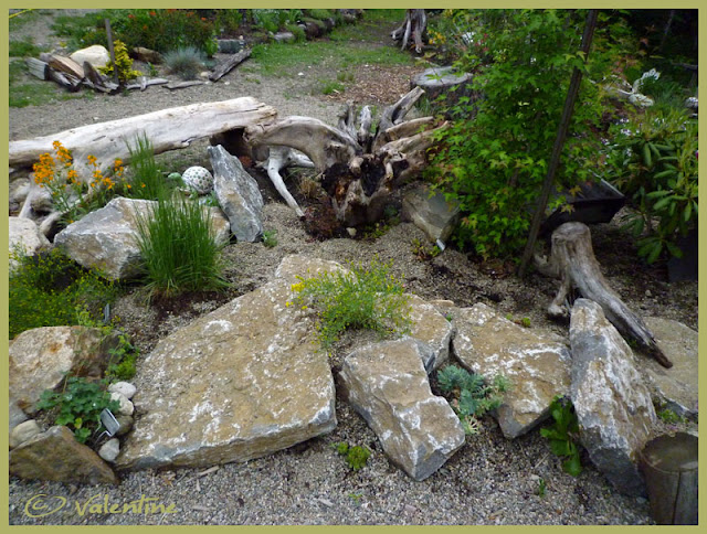 Jardin alpin MiniRocailleJardinAlpin10%2006%2003_85RM