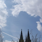 DSC00459.jpg