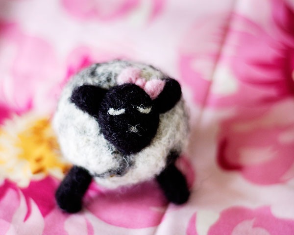 [Petunia[2].jpg]