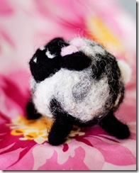 Petunia2